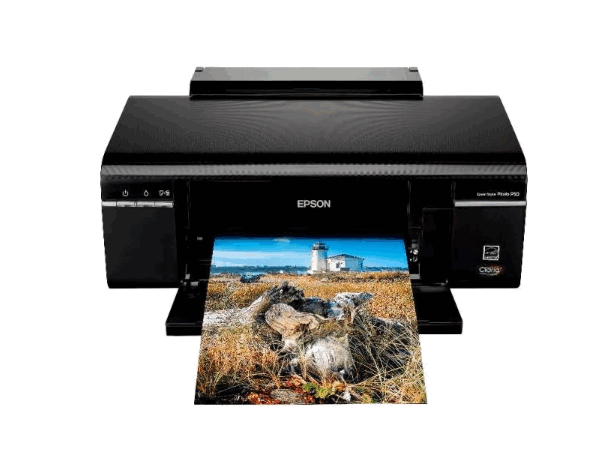 Epson Stylus Photo P50 v.6.62 download for Windows