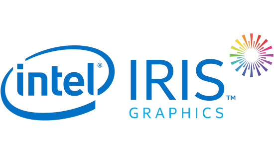 Intel HD/UHD/Iris/Pro Graphics Driver  v.30.0.100.9864 download for Windows