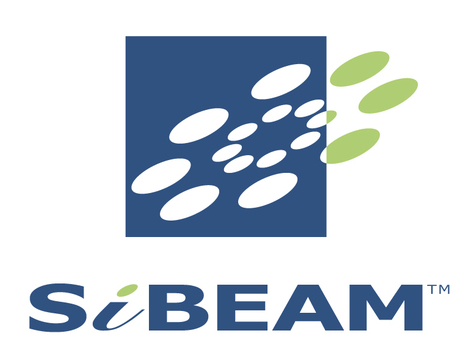 SiBEAM SB92xx Host Serial Device Driver v.2.1.0.0 download for Windows